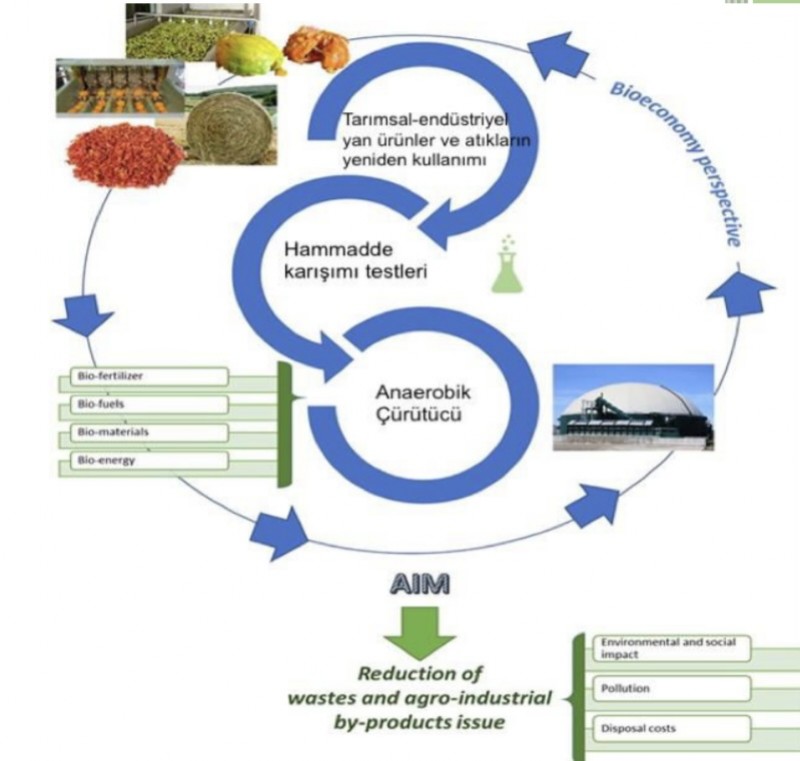 Tarım Alanlarında Katı Fermante Kullanımı